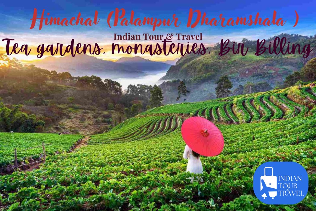 Himachal_(Palampur_Dharamshala)-Tea gardens_monasteries_Bir Billing